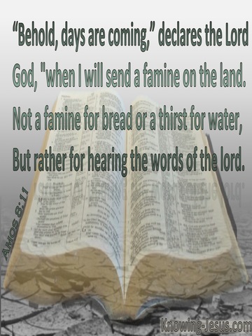 Amos 8:11 God Will Send A Famine In The Land (gray)